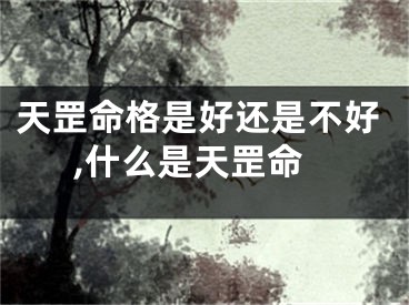天罡命格是好还是不好,什么是天罡命