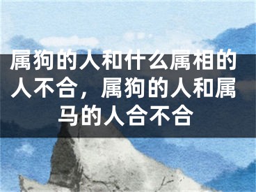 属狗的人和什么属相的人不合,属狗的人和属马的人合不合