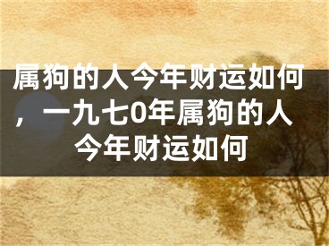 属狗的人今年财运如何，一九七0年属狗的人今年财运如何