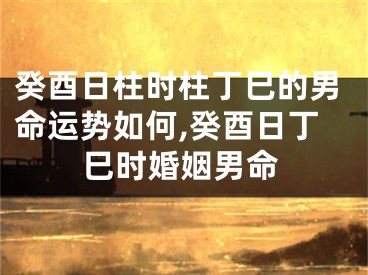 癸酉日柱时柱丁巳的男命运势如何,癸酉日丁巳时婚姻男命