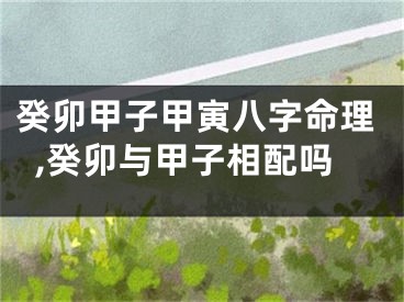 癸卯甲子甲寅八字命理,癸卯与甲子相配吗