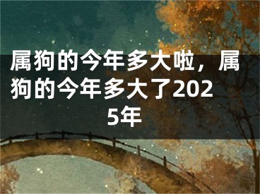 属狗的今年多大啦，属狗的今年多大了2025年