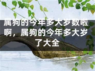 属狗的今年多大岁数啦啊，属狗的今年多大岁了大全