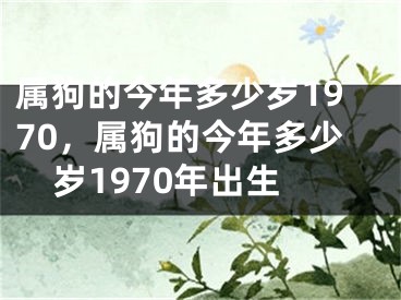 属狗的今年多少岁1970，属狗的今年多少岁1970年出生