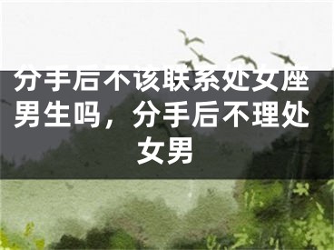 分手后不该联系处女座男生吗，分手后不理处女男