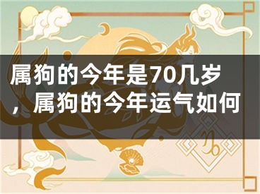 属狗的今年是70几岁，属狗的今年运气如何