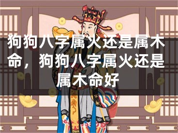 狗狗八字属火还是属木命,狗狗八字属火还是属木命好