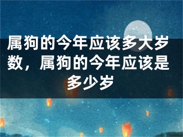 属狗的今年应该多大岁数,属狗的今年应该是多少岁