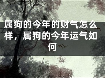 属狗的今年的财气怎么样，属狗的今年运气如何