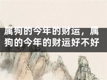属狗的今年的财运，属狗的今年的财运好不好