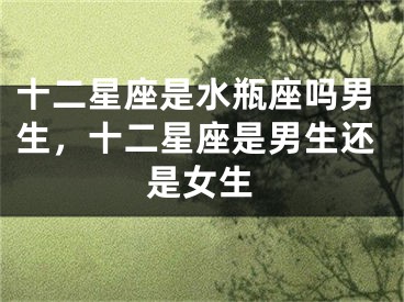 十二星座是水瓶座吗男生，十二星座是男生还是女生