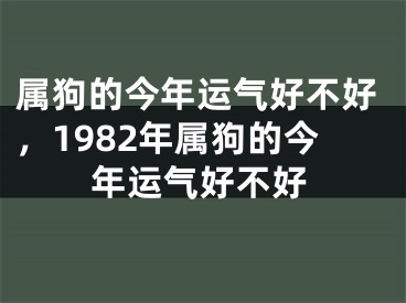 属狗的今年运气好不好，1982年属狗的今年运气好不好