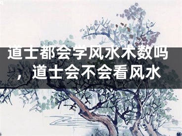 道士都会学风水术数吗，道士会不会看风水