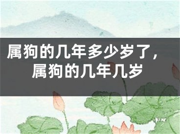 属狗的几年多少岁了，属狗的几年几岁