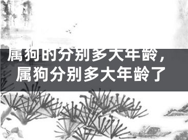 属狗的分别多大年龄，属狗分别多大年龄了