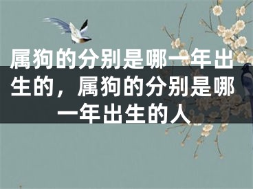 属狗的分别是哪一年出生的，属狗的分别是哪一年出生的人