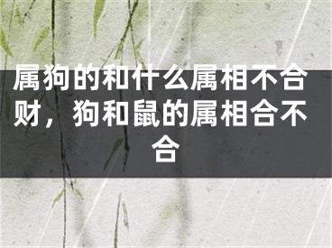 属狗的和什么属相不合财，狗和鼠的属相合不合