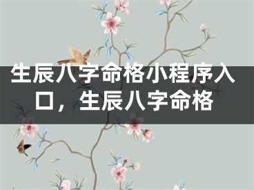 生辰八字命格小程序入口,生辰八字命格