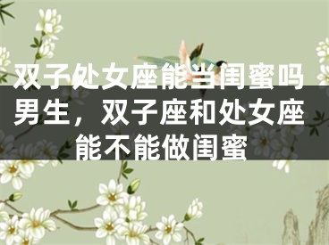 双子处女座能当闺蜜吗男生,双子座和处女座能不能做闺蜜
