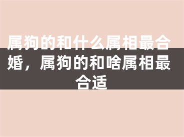 属狗的和什么属相最合婚，属狗的和啥属相最合适
