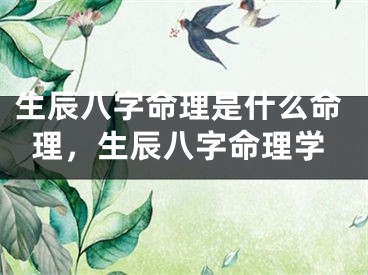 生辰八字命理是什么命理，生辰八字命理学