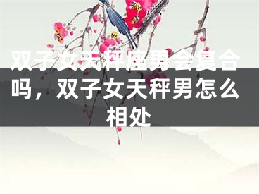 双子女天秤座男会复合吗，双子女天秤男怎么相处