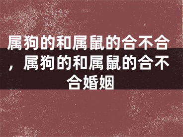 属狗的和属鼠的合不合，属狗的和属鼠的合不合婚姻