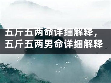 五斤五两命详细解释,五斤五两男命详细解释