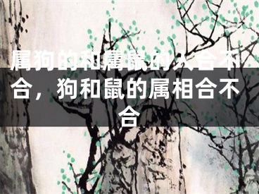 属狗的和属鼠的人合不合,狗和鼠的属相合不合