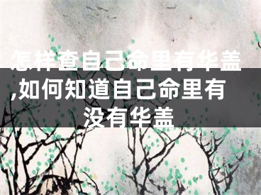 怎样查自己命里有华盖,如何知道自己命里有没有华盖