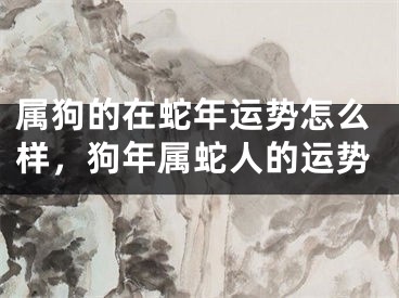 属狗的在蛇年运势怎么样，狗年属蛇人的运势