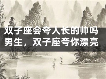 双子座会夸人长的帅吗男生,双子座夸你漂亮