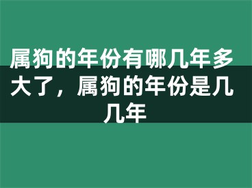属狗的年份有哪几年多大了，属狗的年份是几几年