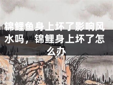 锦鲤鱼身上坏了影响风水吗，锦鲤身上坏了怎么办