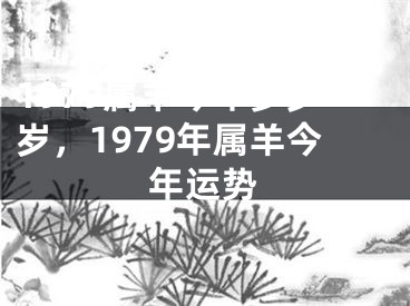 1979属羊今年多少岁，1979年属羊今年运势