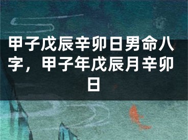 甲子戊辰辛卯日男命八字，甲子年戊辰月辛卯日