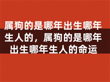 属狗的是哪年出生哪年生人的,属狗的是哪年出生哪年生人的命运