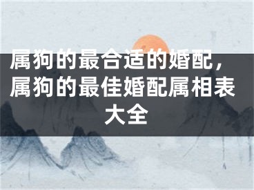 属狗的最合适的婚配，属狗的最佳婚配属相表大全