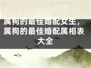 属狗的最佳婚配女生，属狗的最佳婚配属相表大全