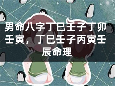 男命八字丁巳壬子丁卯壬寅，丁巳壬子丙寅壬辰命理