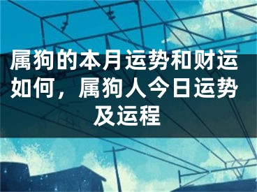 属狗的本月运势和财运如何，属狗人今日运势及运程