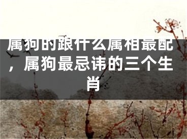 属狗的跟什么属相最配，属狗最忌讳的三个生肖