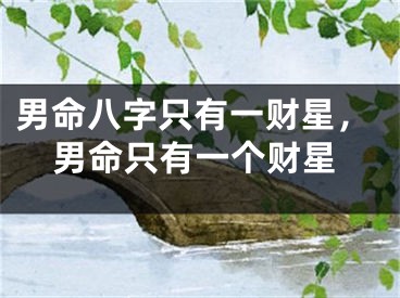 男命八字只有一财星，男命只有一个财星