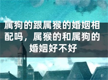 属狗的跟属猴的婚姻相配吗，属猴的和属狗的婚姻好不好