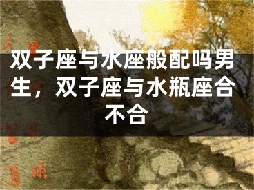 双子座与水座般配吗男生，双子座与水瓶座合不合