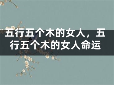 五行五个木的女人，五行五个木的女人命运