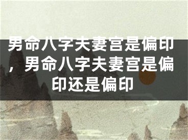男命八字夫妻宫是偏印，男命八字夫妻宫是偏印还是偏印