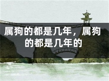 属狗的都是几年，属狗的都是几年的