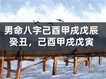 男命八字己酉甲戌戊辰癸丑，己酉甲戌戊寅