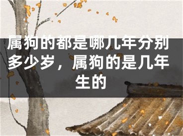 属狗的都是哪几年分别多少岁，属狗的是几年生的